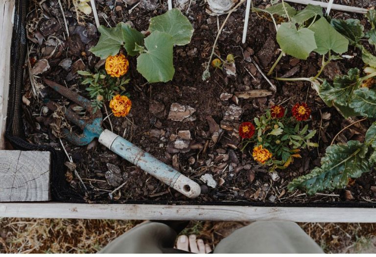 How to Kill Weeds in Garden: Safe & Effective Methods for 2025