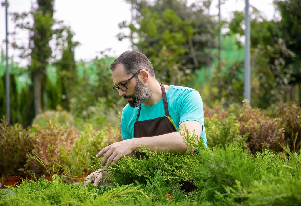 Preventing Weeds Before They Start