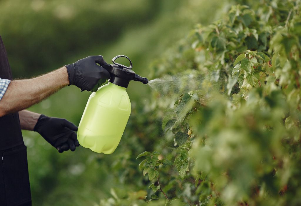 Why Killing Weeds Matters