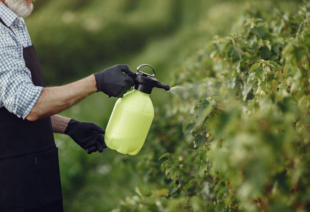 How to Get Rid of Weeds in Garden: 10 Proven & Natural Methods