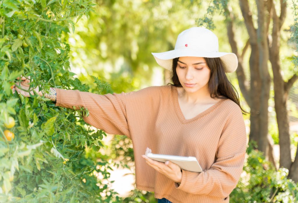 Best Practices for Safe Application