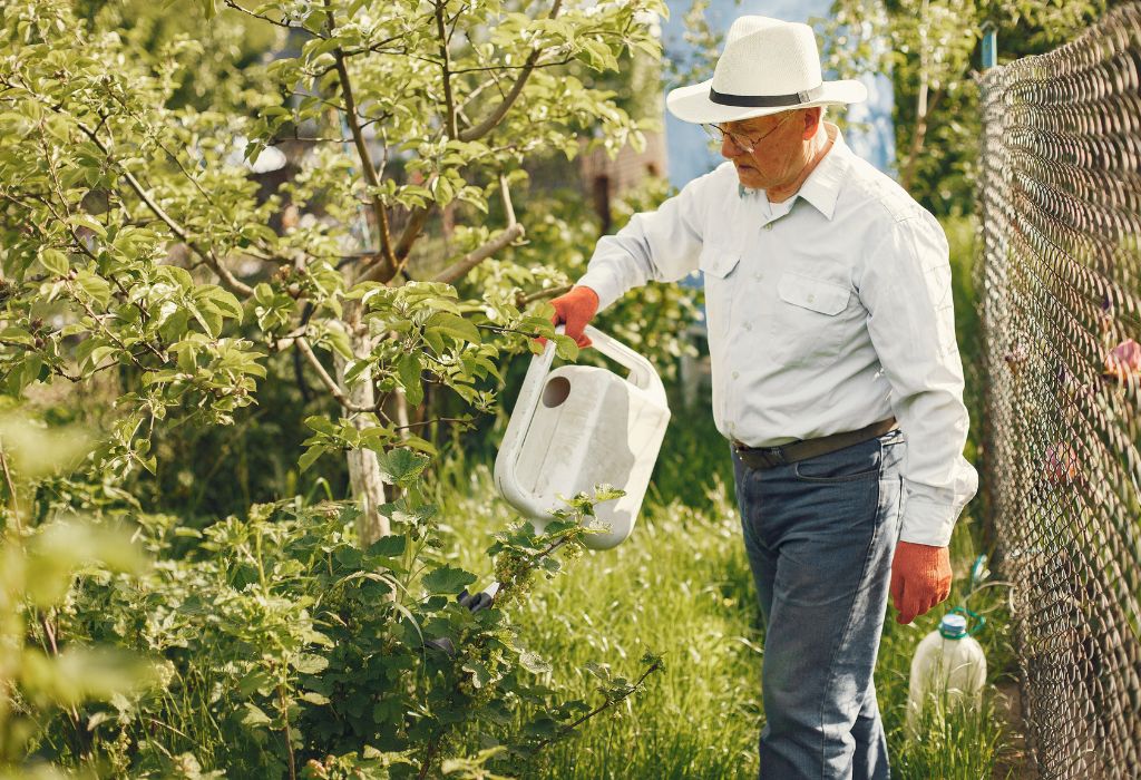 Best Time to Spray Weed Killer in a Vegetable Garden