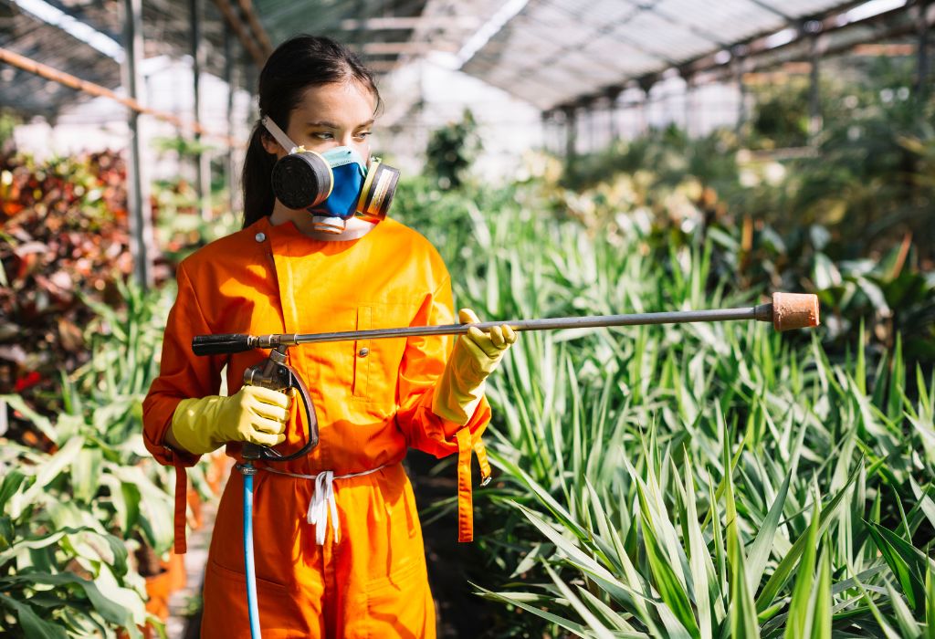 Can I Spray Weed Killer in My Vegetable Garden Without Risk?