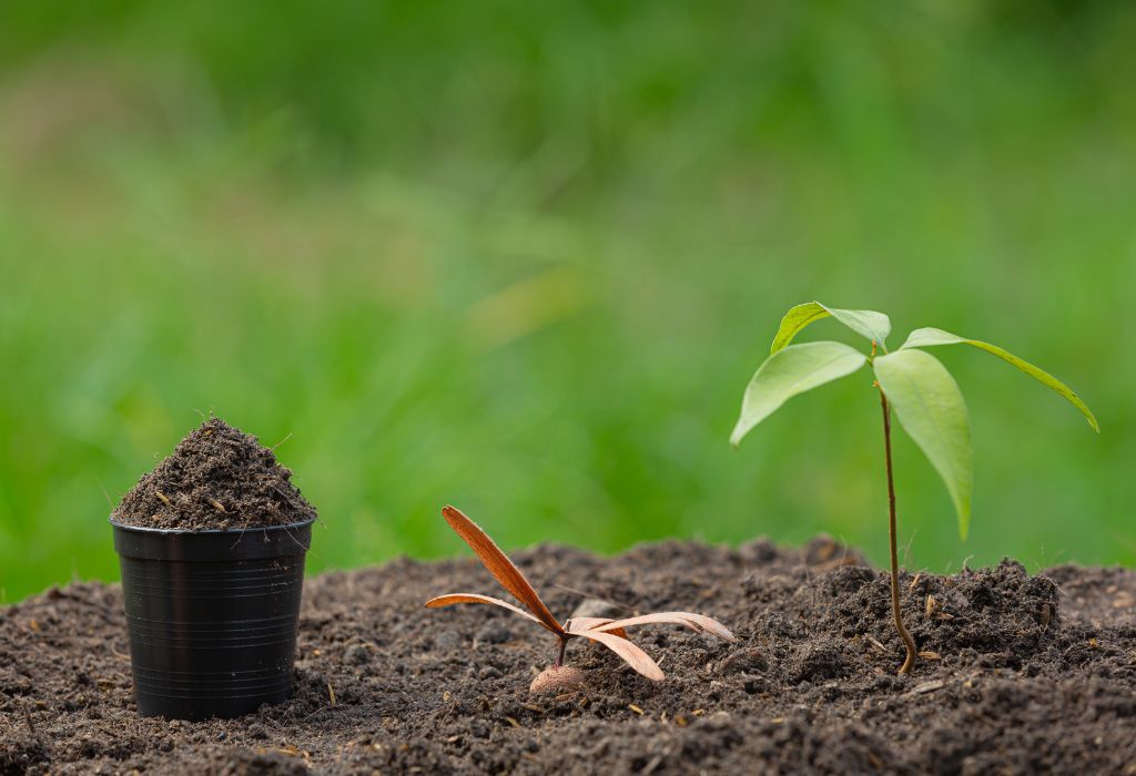 Can I Till Weeds Into Garden Soil to Improve Growth?