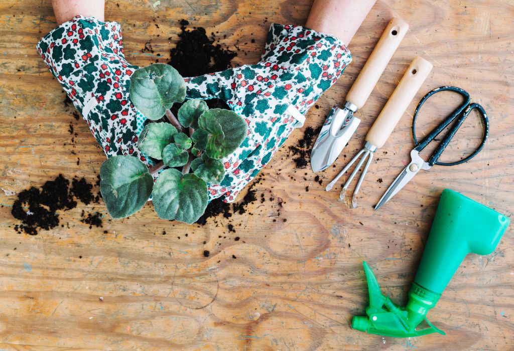 How to Keep Weeds Out of Rock Garden: Easy Solutions