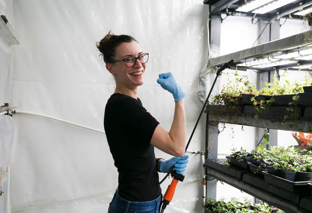 Common Mistakes to Avoid When Spraying Weed Killer