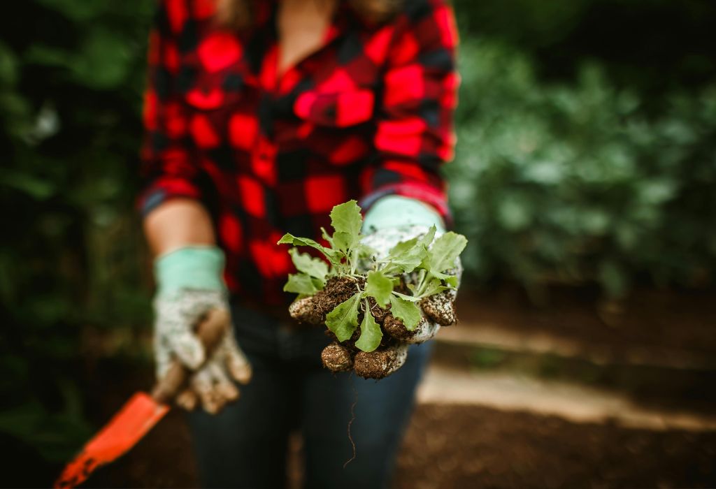 How to Keep Weeds Out of the Garden: 10 Proven Tips for 2025