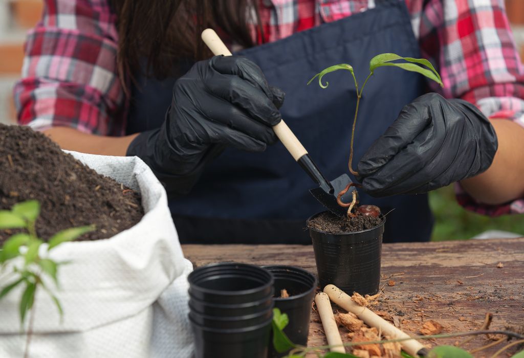 Long-Term Soil Health and Weed Prevention
