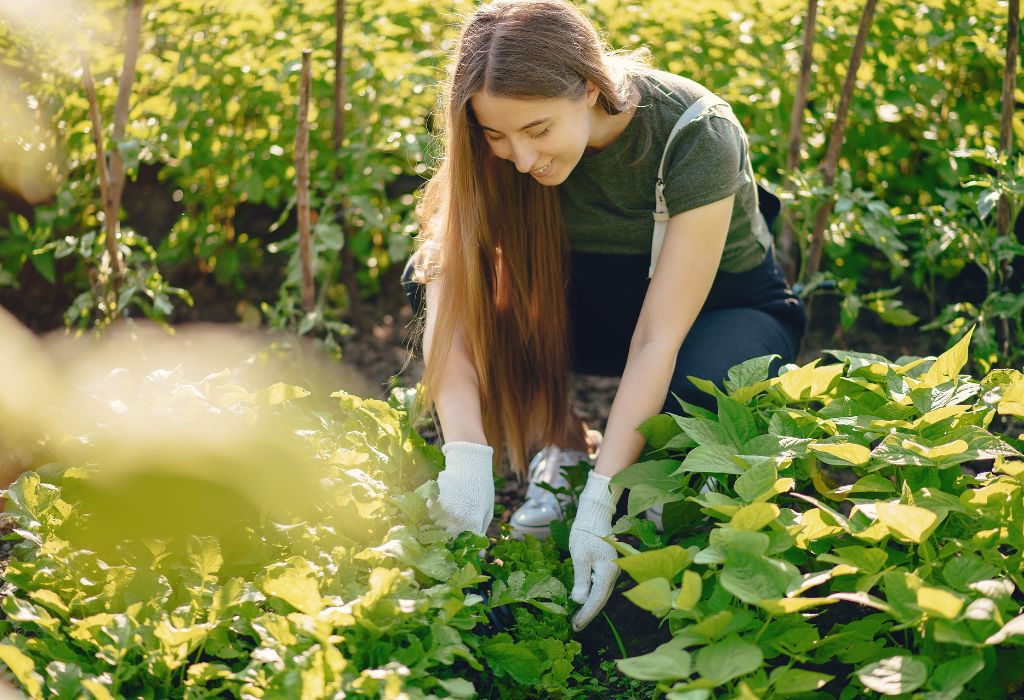 Mistakes to Avoid in Weed Prevention