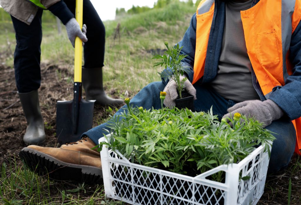 Seasonal Weed Suppression Strategy