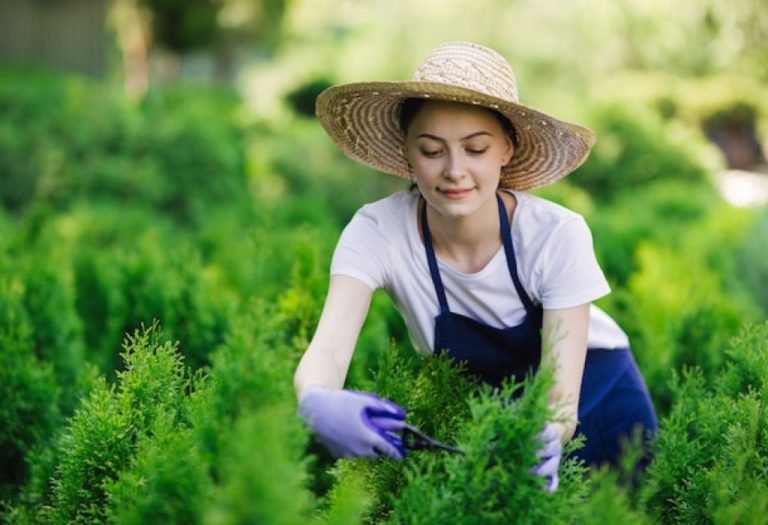 How to Get Rid of Horsetail Weed in Garden Without Chemicals