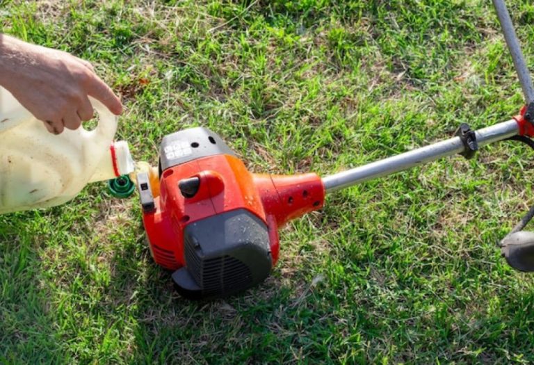 How to Use a Weeder the Right Way for Best Results