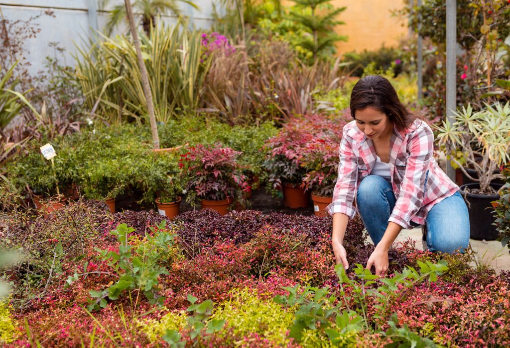 What Does “Suppressing Weeds” Mean?