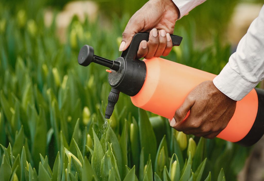 What Is Preen Garden Weed Preventer?
