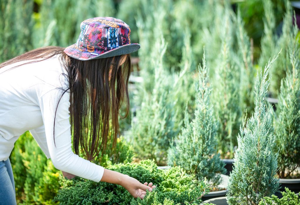 What Makes Weeds So Tough?