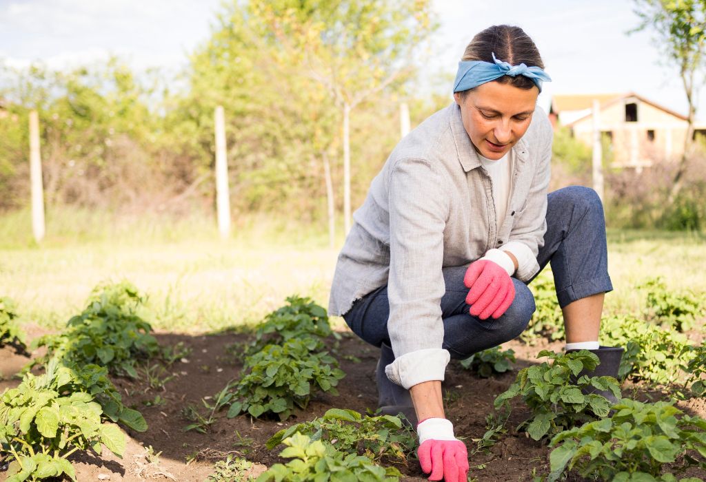 When You Should Not Till Weeds Into Soil