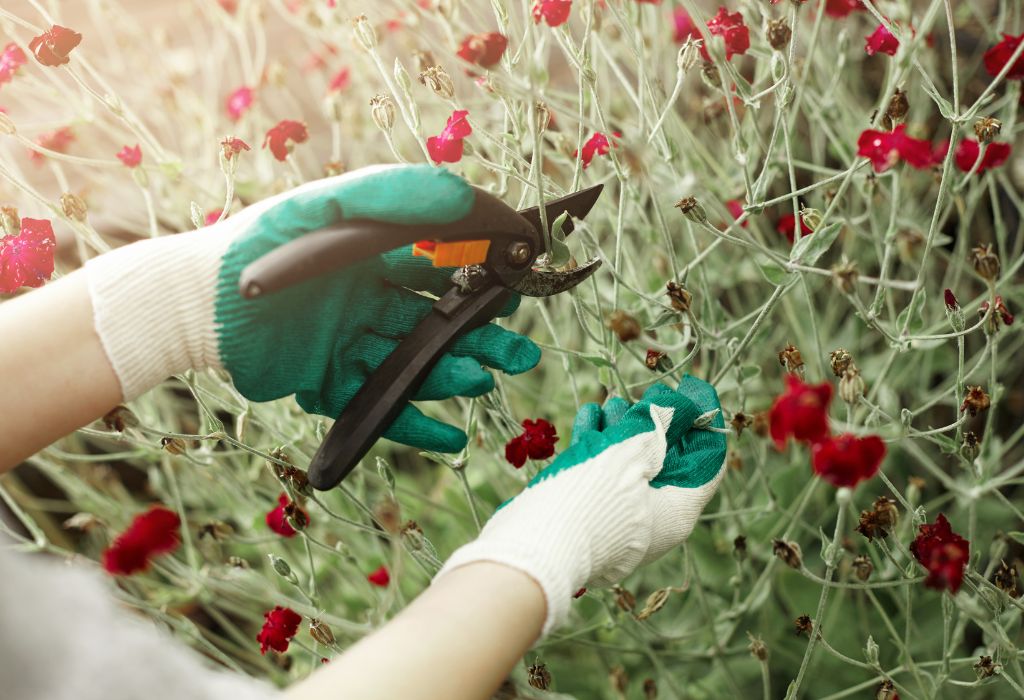 Why Killing Weeds Matters