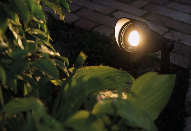 How to Make Garden Lights Weeder Proof Without Extra Cost