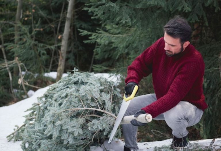 How to Beat Weed Inc Winter Weeder Using Smart Hacks
