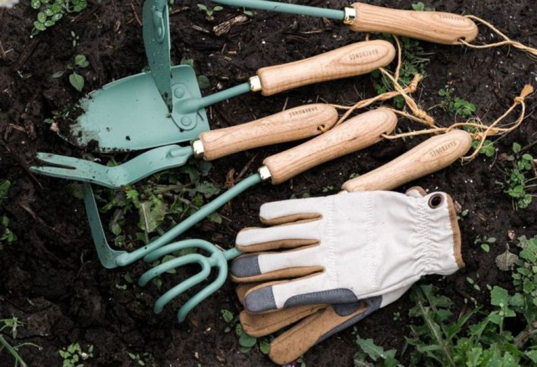 How to Use a Dandelion Weeder for Quick Weed Removal