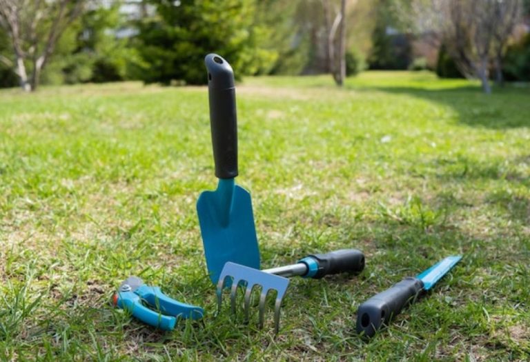 How to Use a 2 Prong Weeder Hoe for Faster Weed Control