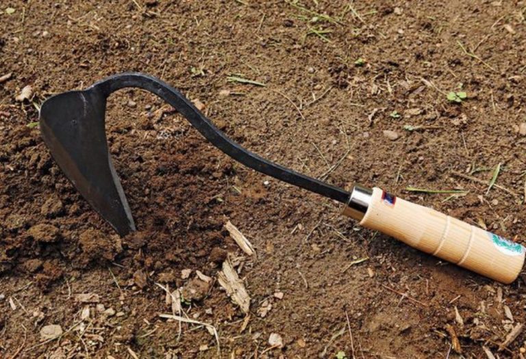 How to Use a Cape Cod Weeder for Faster Garden Cleanup