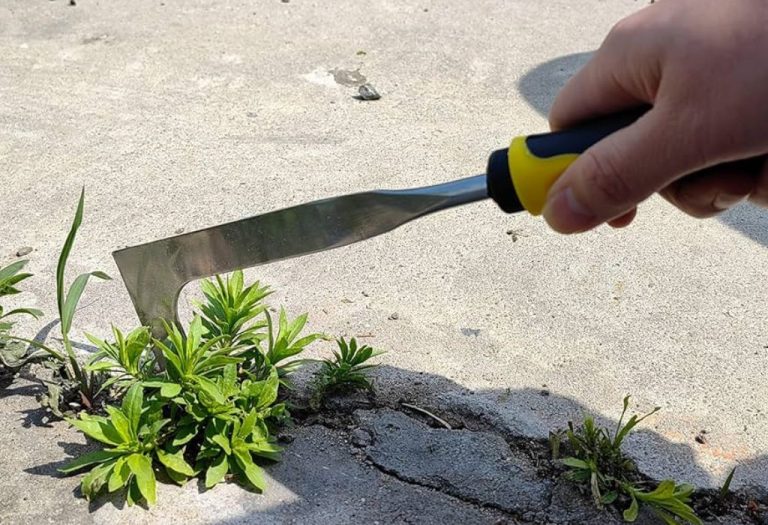 How to Use a Crack Weeder for Fast and Easy Weed Removal