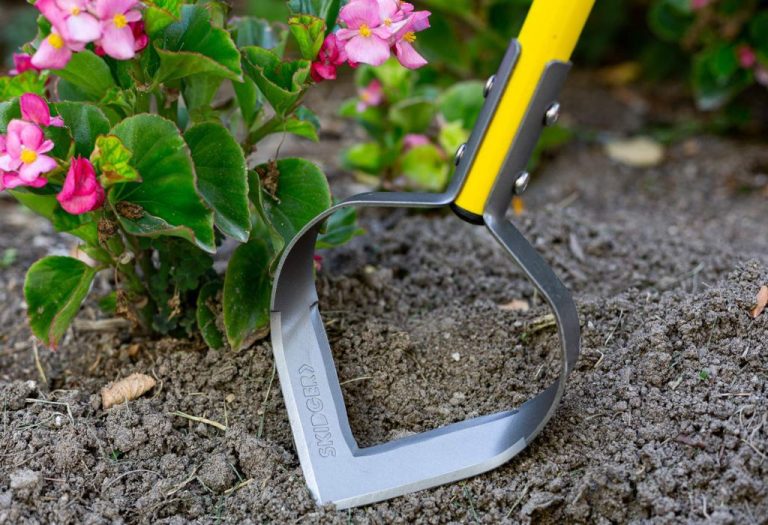 How to Use Skidger Weeder for Fast Lawn Weed Control