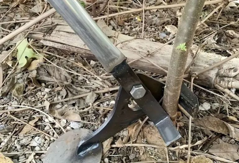 How to Use a Stand Up Weeder for Quick Lawn Weed Removal