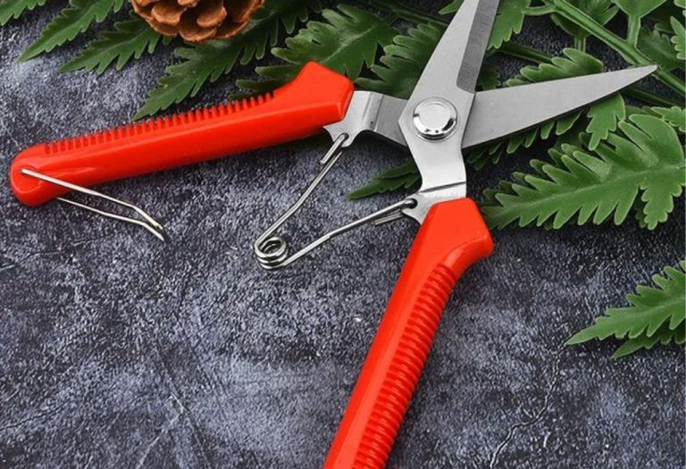 What Is Pruning Shears Used For and How to Use It Properly