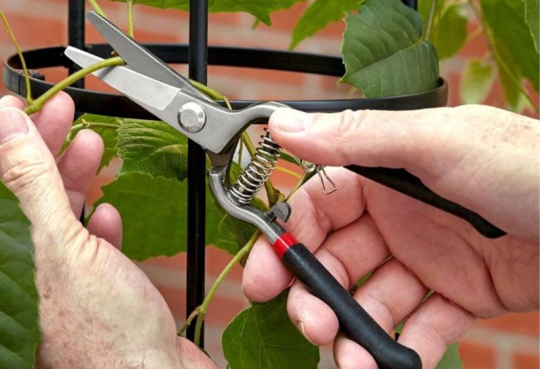 Are Stihl Pruning Shears Good for Home Gardening?