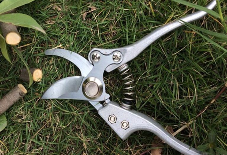 Can I Use Clorox Wipes to Clean Pruning Shears Safely?