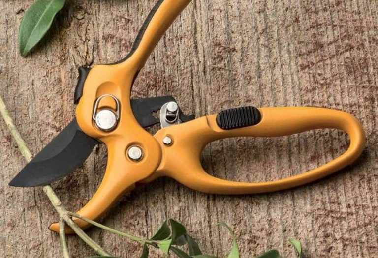 How Often Replace Pruning Shears for Peak Performance