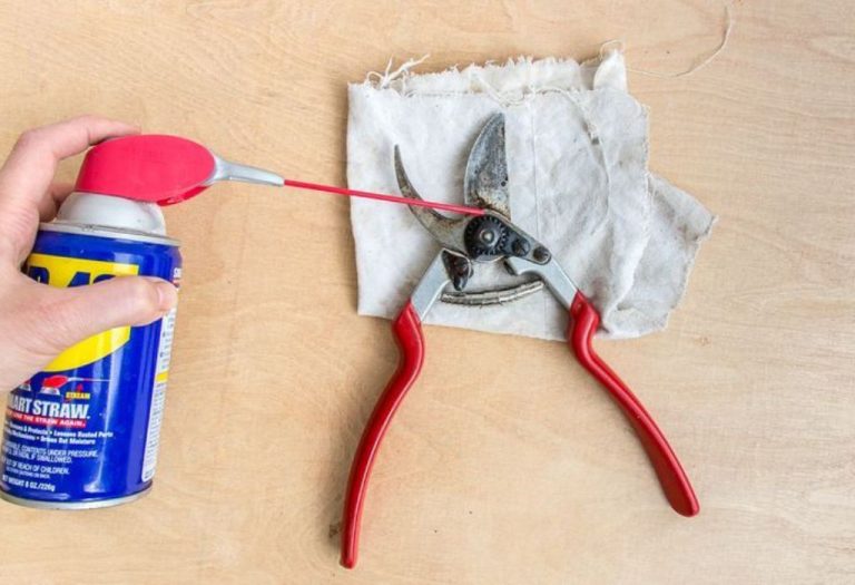How to Clean Old Pruning Shears and Remove Rust Fast