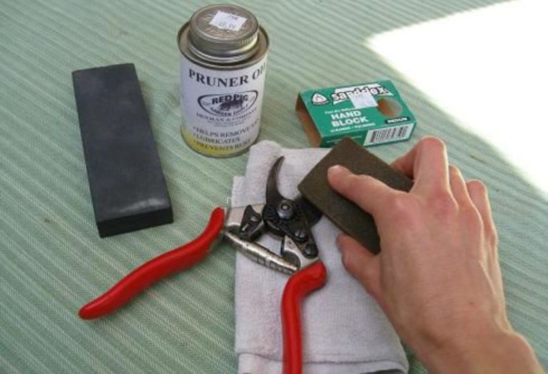 How to Clean Sticky Pruning Shears and Remove Sap Easily