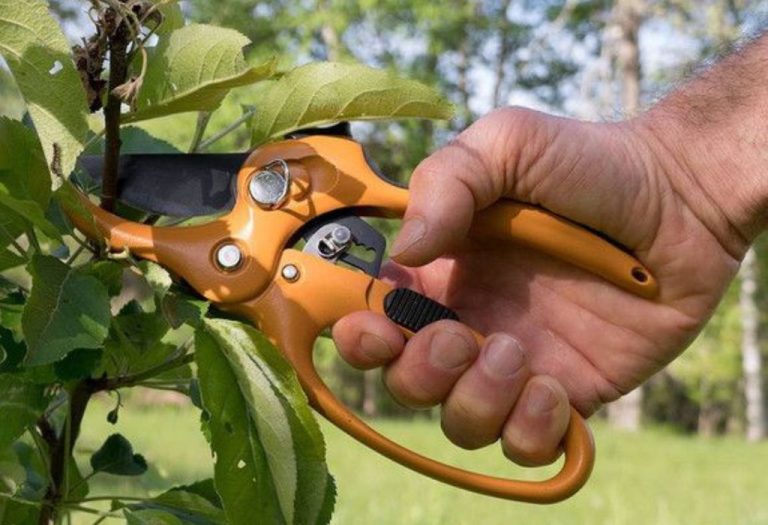 How to Open the Bolt on Pruning Shears Without Damage