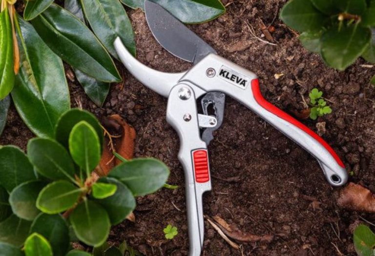 How to Transport Pruning Shears Safely in Toolboxes