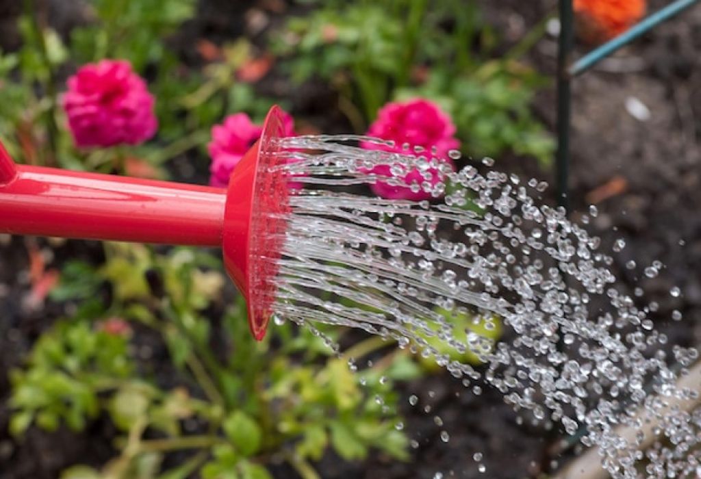 Safety Tips and Best Practices