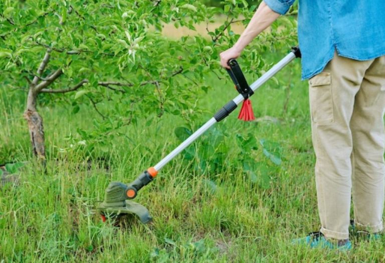 How to Put a Strinf in a Weeder Like a Pro in Minutes