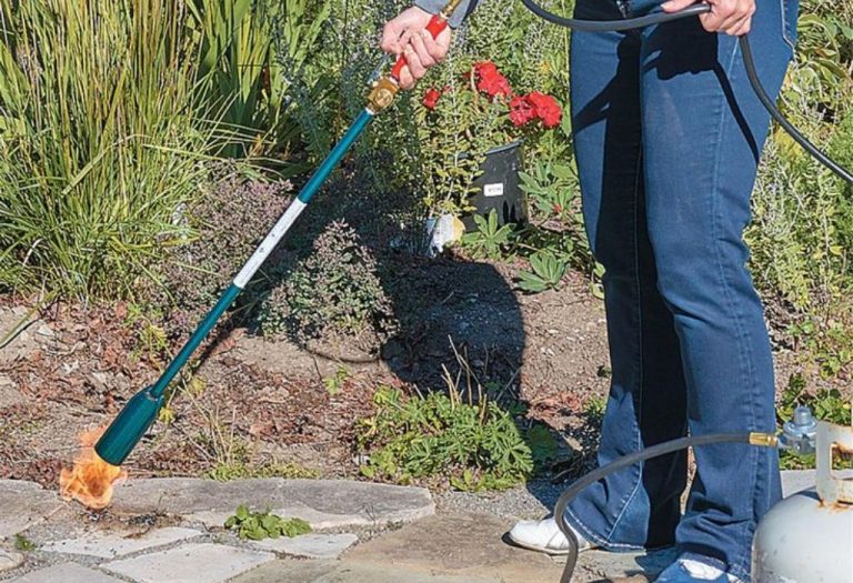 How to Light a Flame Weeder Safely in Just Minutes