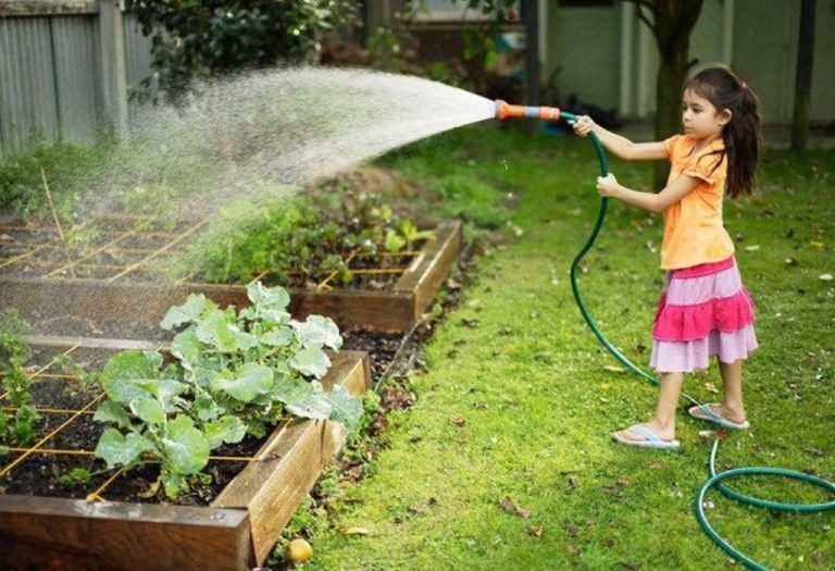 How to Cut a Garden Hose Quickly and Without Mess