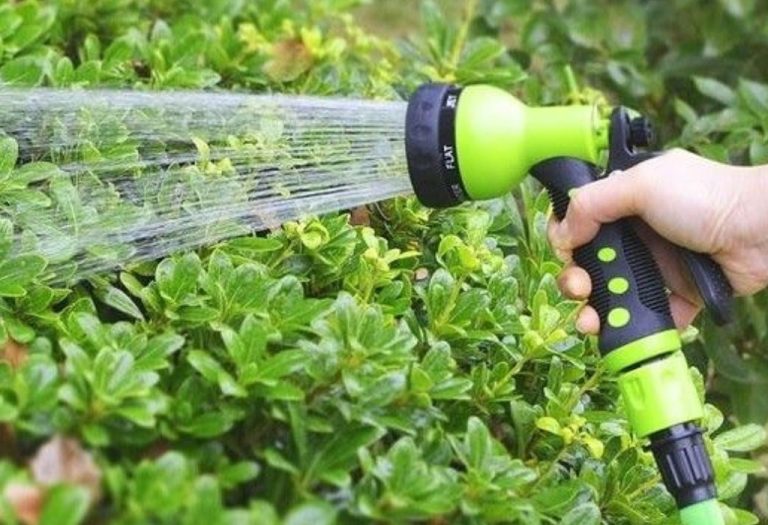 What Thread Is Garden Hose? Complete Buying Guide