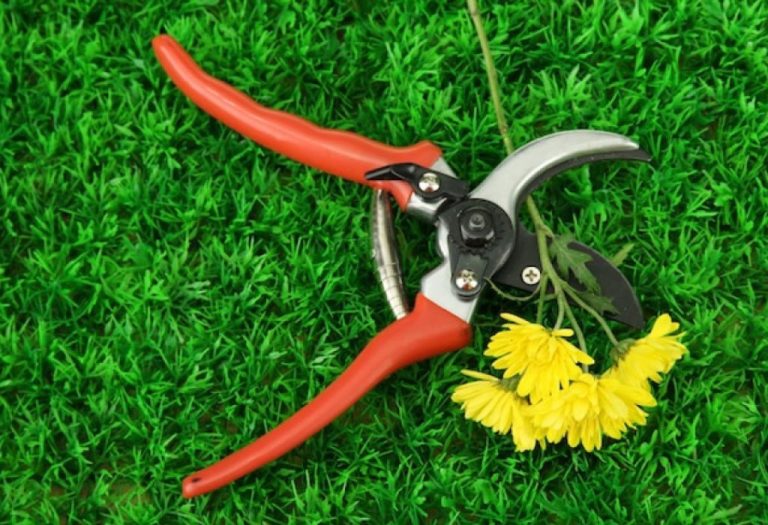 How to Open Fiskars Pruning Shears Without Damage