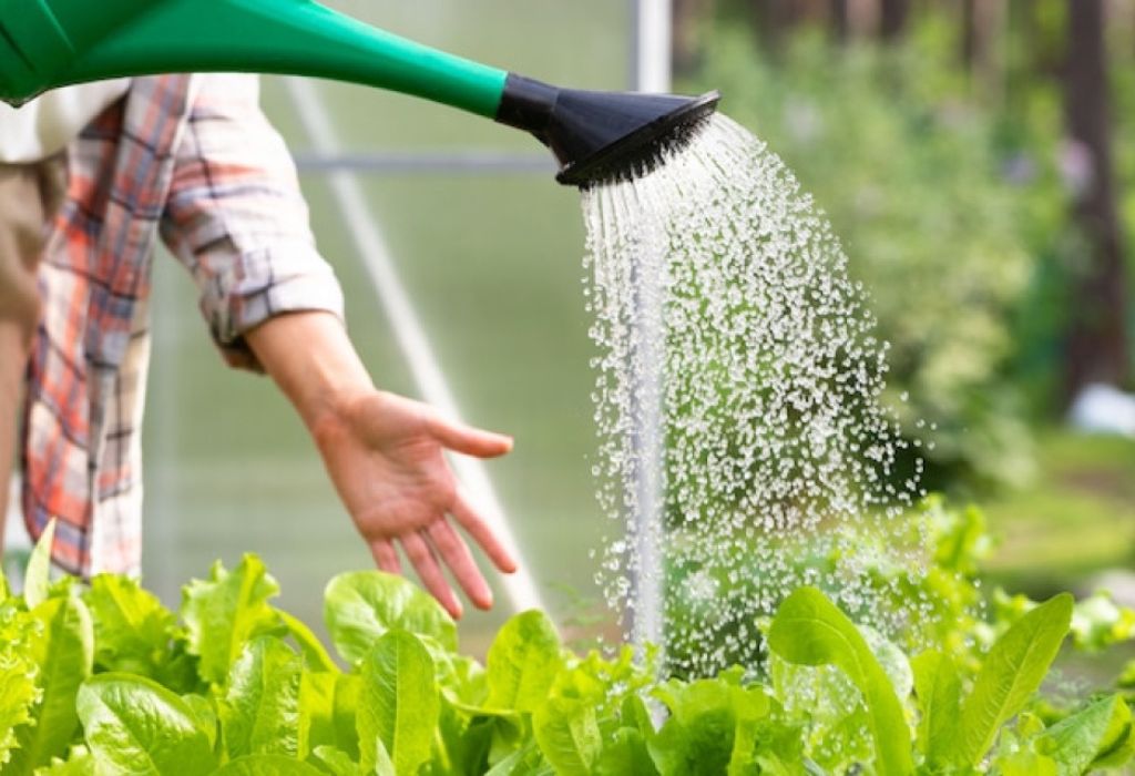 Choosing the Right Hose for Your Needs