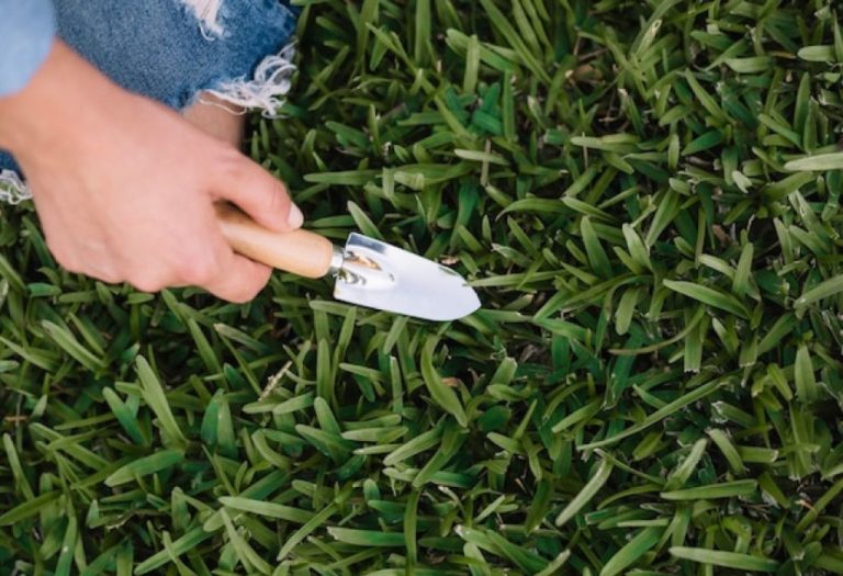 How to Use a Corona Weeder for Faster Lawn Care Results