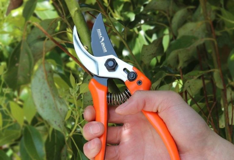 How to Maintain Pruning Shears for Long-Lasting Sharpness