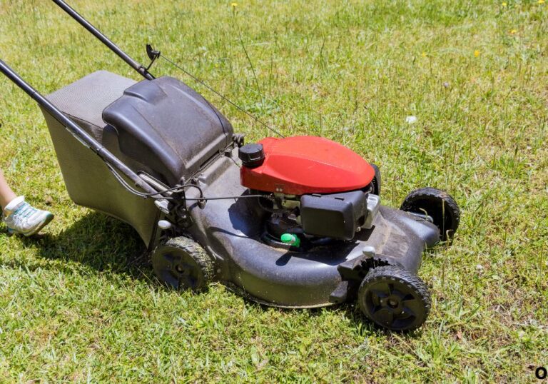 What Does Self Propelled Mean on a Lawn Mower for Beginners