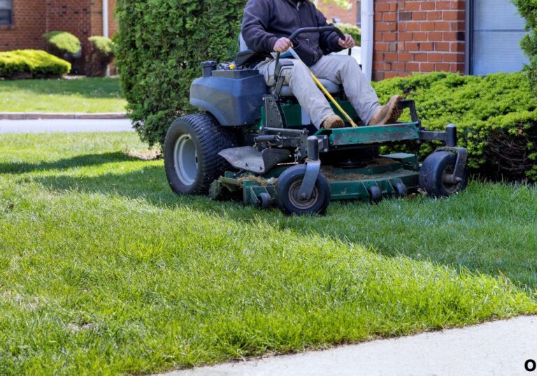 Is a Self Propelled Lawn Mower Worth Buying Today