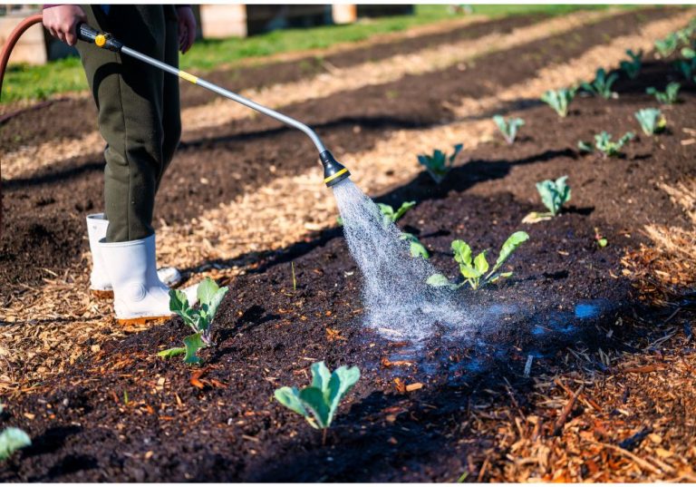 What Is an Expandable Garden Hose and How Does It Work