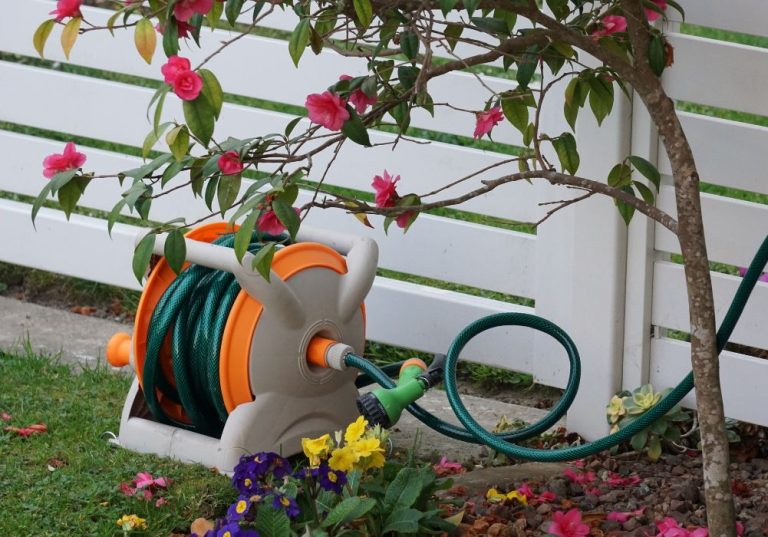 How Much Does a Garden Hose Cost? Complete Pricing Guide